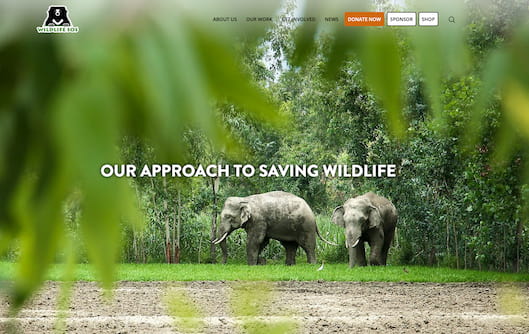 Wildlife SOS India Website Screenshot showing elephants